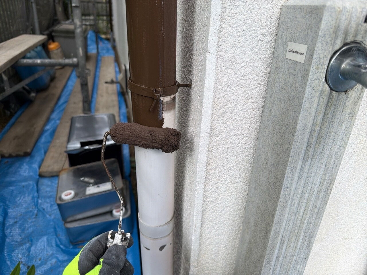 お昼からすっきりしないお天気ですね🌧️