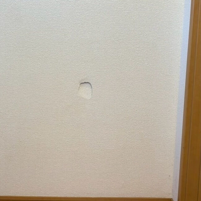 おはようございます😃