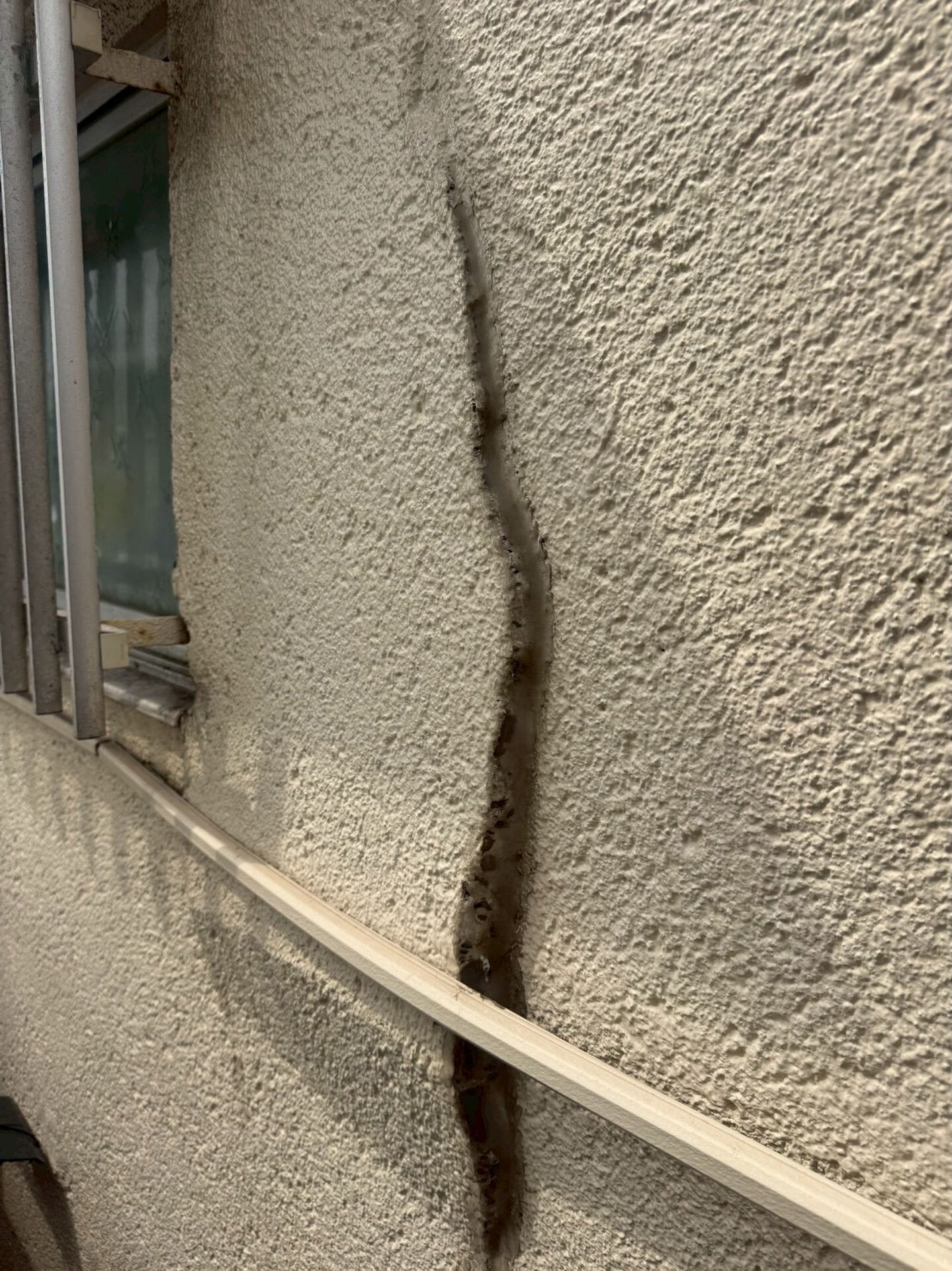 今日も茹だる暑さですね🥵