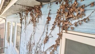 神戸市 O様邸 外壁塗装・屋根塗装工事
