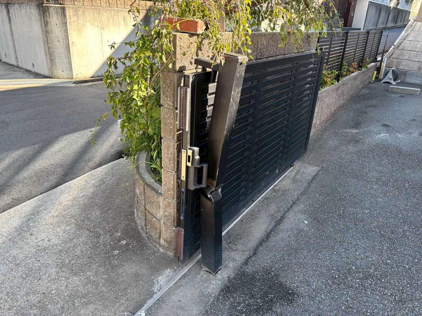 朝晩はひんやりとした空気に変わり秋らしさが感じられますね🍂
